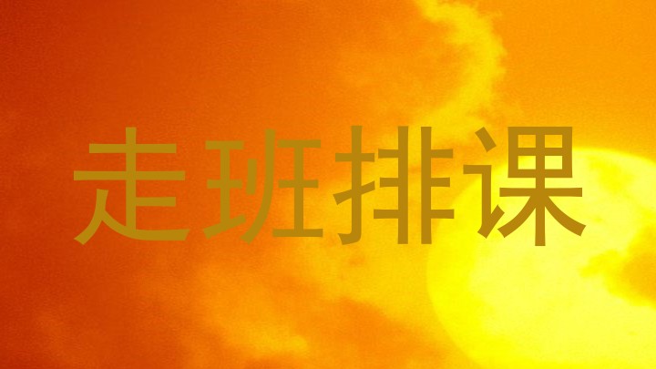 走班排课