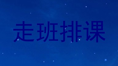 走班排课