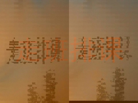 走班排课