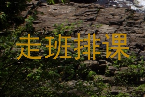 走班排课