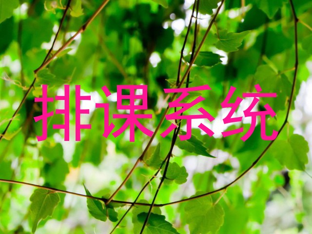 排课系统