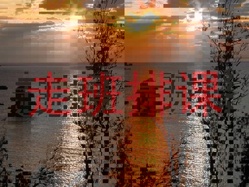 走班排课