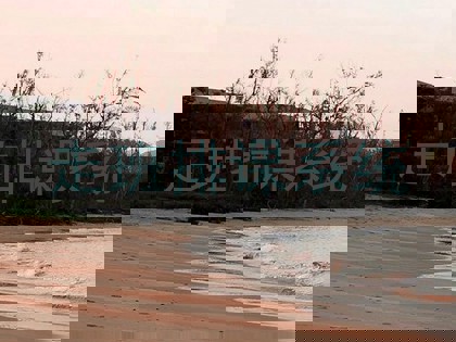 走班排课系统