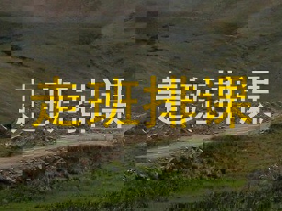走班排课
