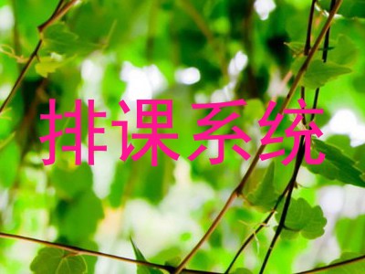 排课系统