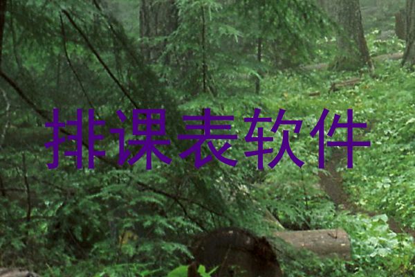 排课表软件