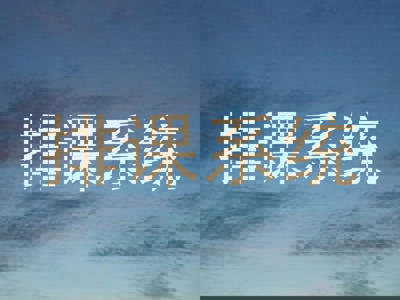 排课系统