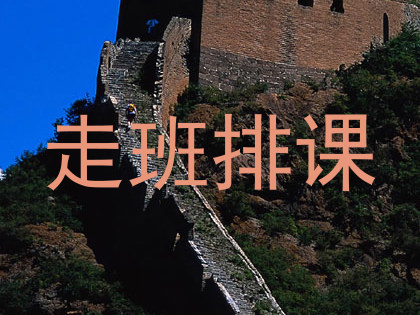 走班排课