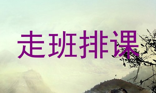 走班排课