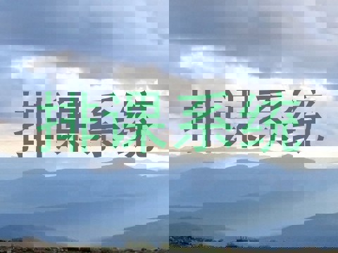 排课系统