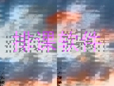 排课软件