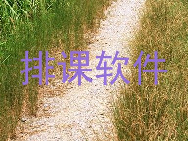 排课软件