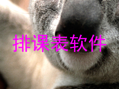 排课表软件