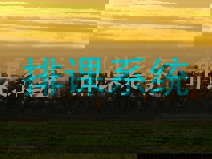 排课系统