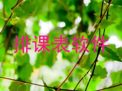 排课表软件
