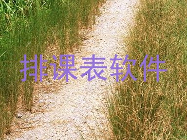 排课表软件