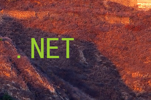 .NET