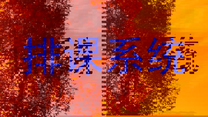 排课系统