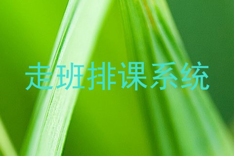 走班排课系统