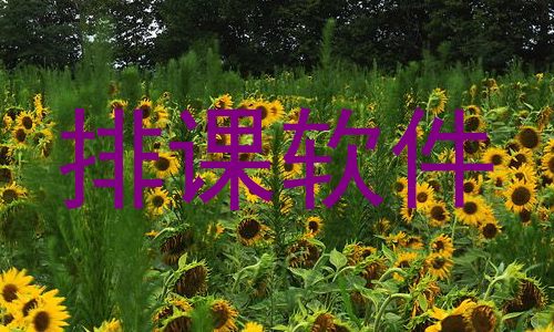 排课软件