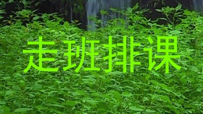 走班排课
