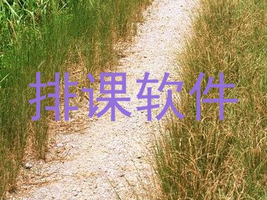 排课软件