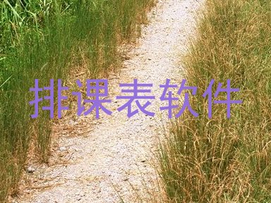 排课表软件