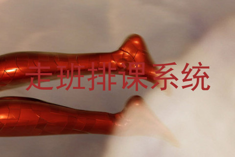 走班排课系统