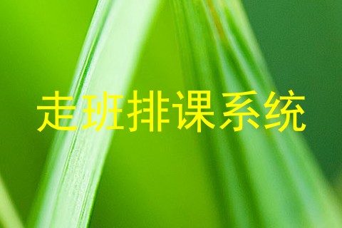 走班排课系统