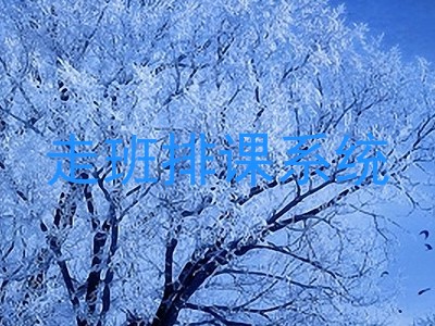 走班排课系统