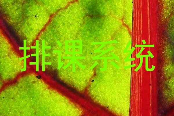 排课系统
