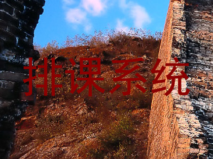 排课系统
