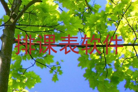 排课表软件