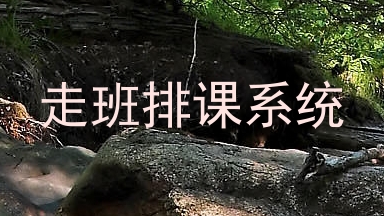 走班排课系统