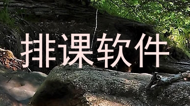 排课软件