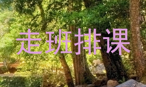 走班排课