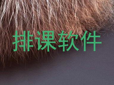排课软件