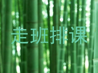 走班排课