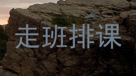 走班排课