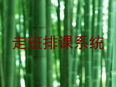 走班排课系统