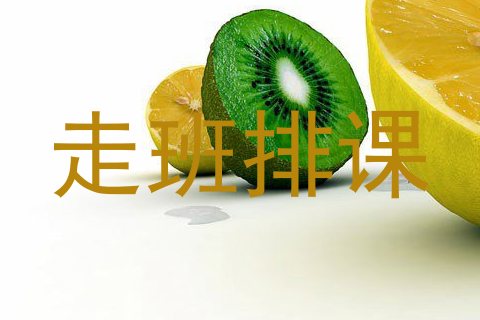 走班排课