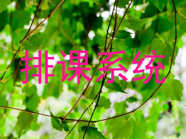 排课系统