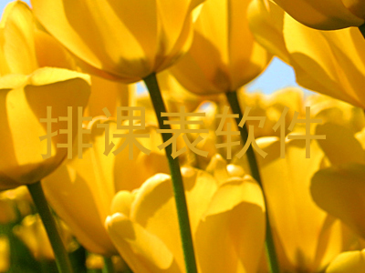 排课表软件