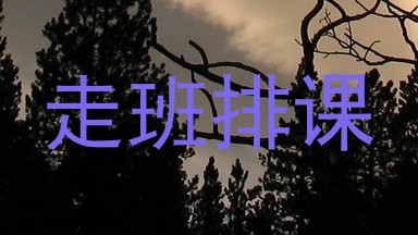 走班排课