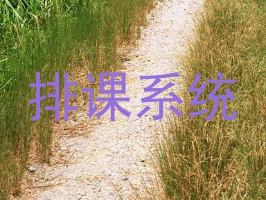 排课系统