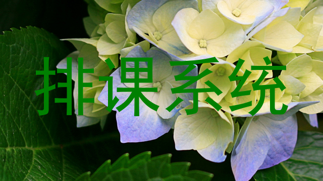 排课系统