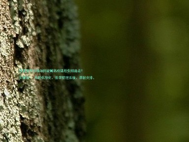 排课管理系统如何破解高校课程安排痛点？

关键词： 高校信息化、排课管理系统、课程安排、