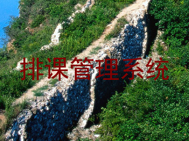 排课管理系统