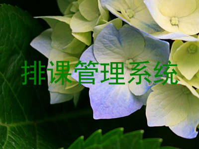 排课管理系统