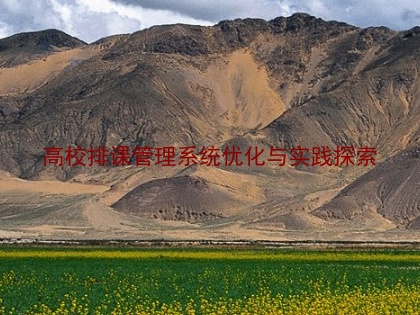 高校排课管理系统优化与实践探索